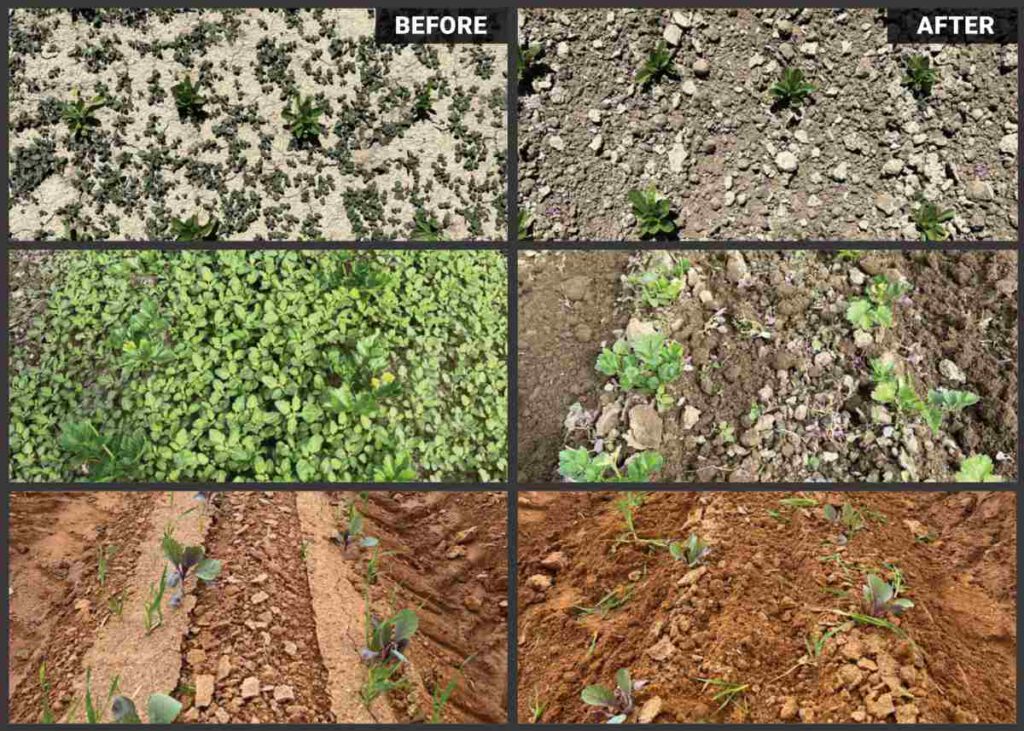 FarmWise Vulcan: Autonomous Weeding Robot - view 3