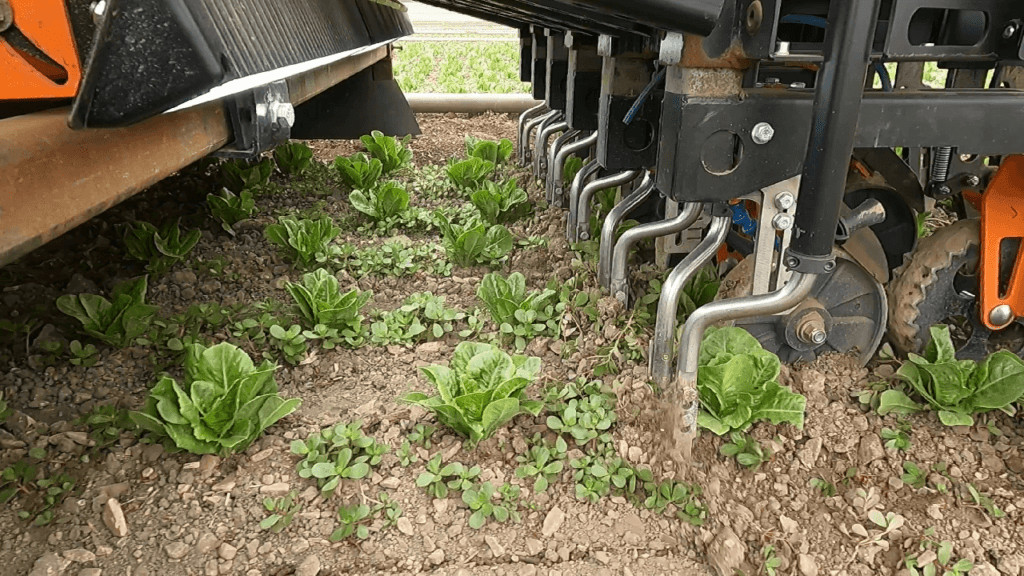 FarmWise Vulcan: Autonomous Weeding Robot - view 2