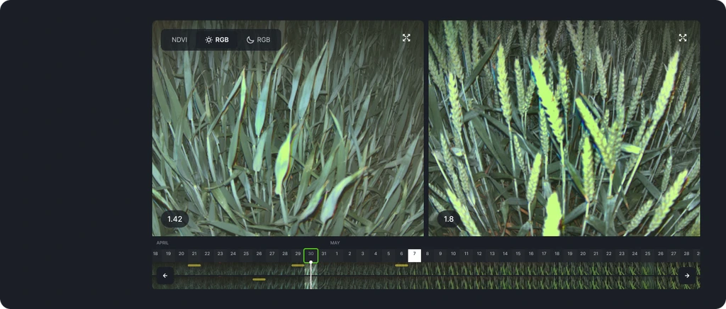Cropler: Advanced AI-Based Agricultural Monitoring System - view 4
