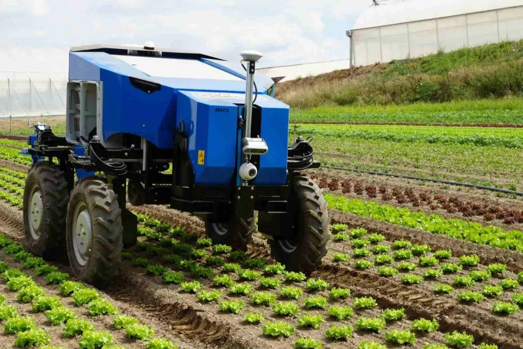 Carr\u00e9 Anatis: Autonomous Weeding Co-bot
