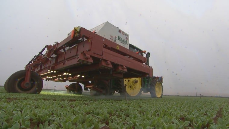 Track LaserWeeder: Automated Weed Control - view 3
