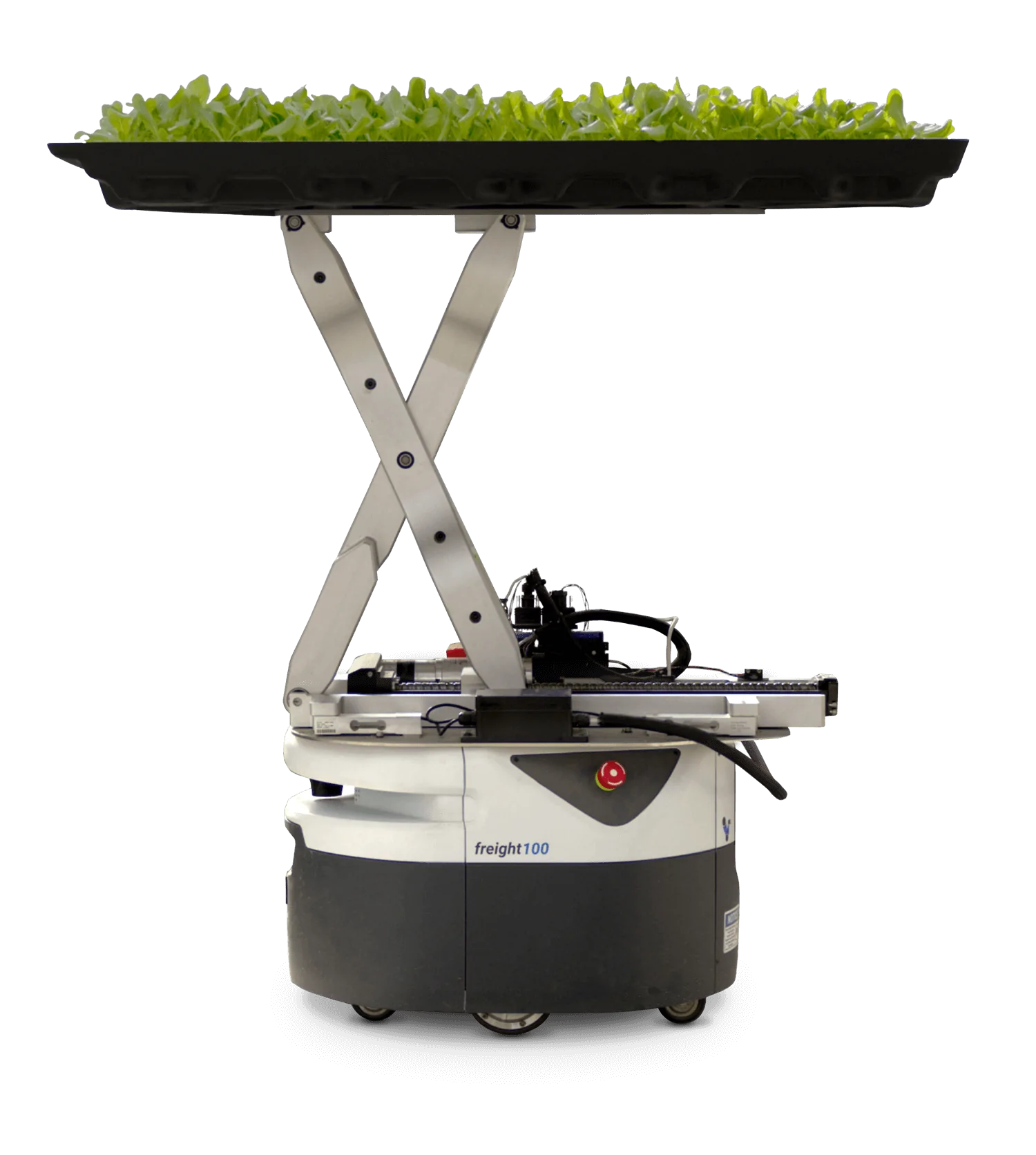 Hippo Harvest: Sustainable Indoor Greens