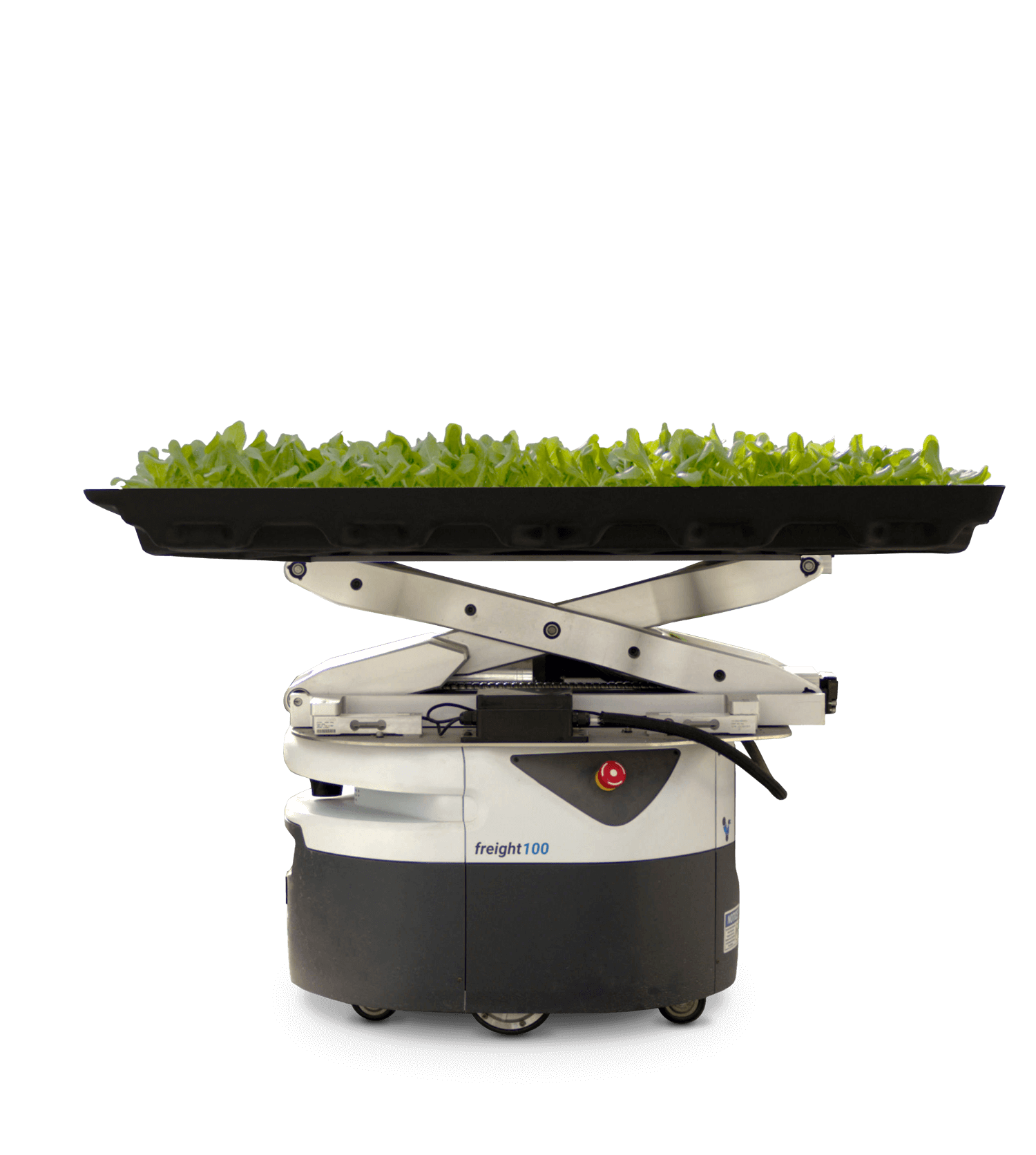 Hippo Harvest: Sustainable Indoor Greens - view 2