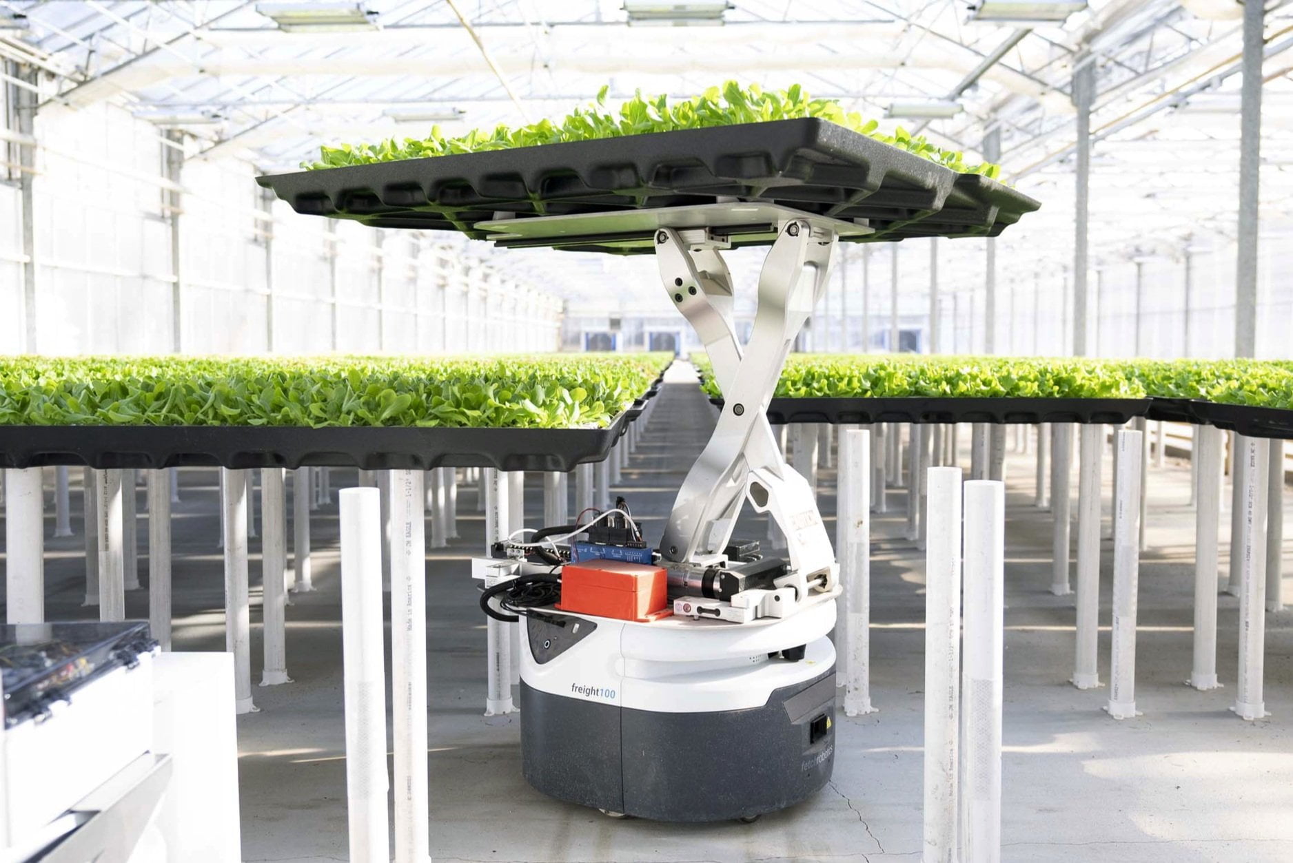 Hippo Harvest: Sustainable Indoor Greens - view 4