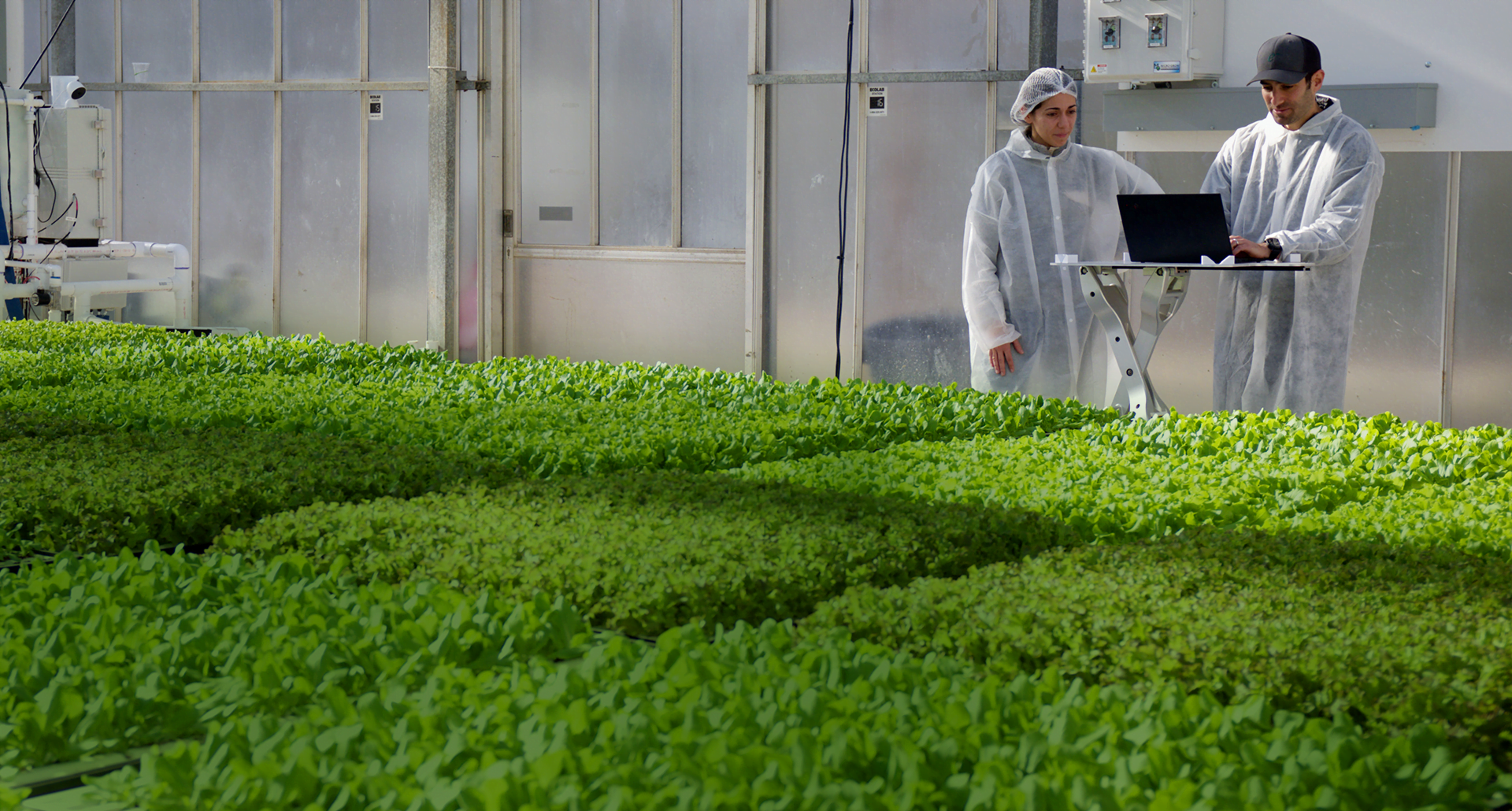Hippo Harvest: Sustainable Indoor Greens - view 3
