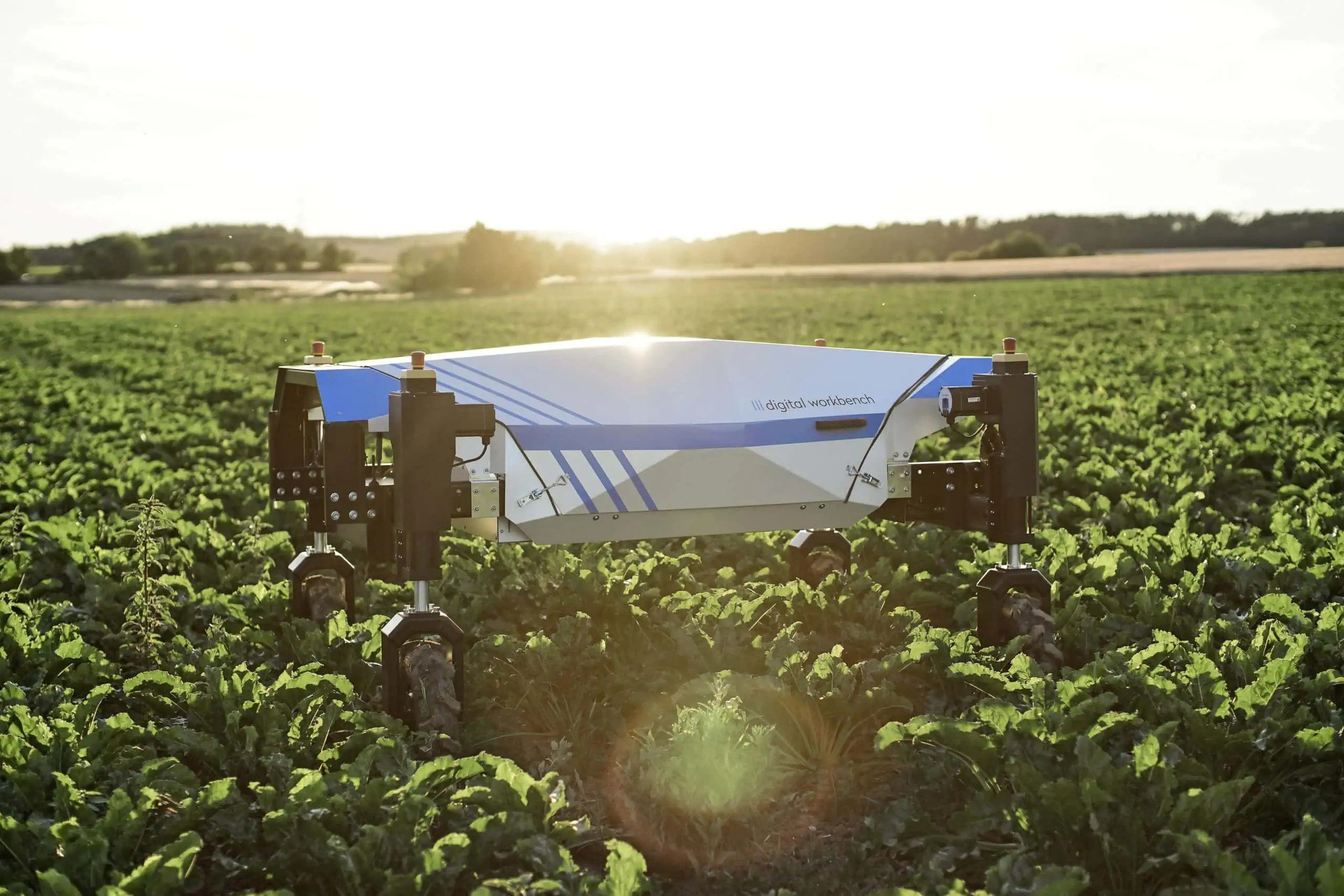 Tipard 350: Autonomous Carrier Platform - view 2