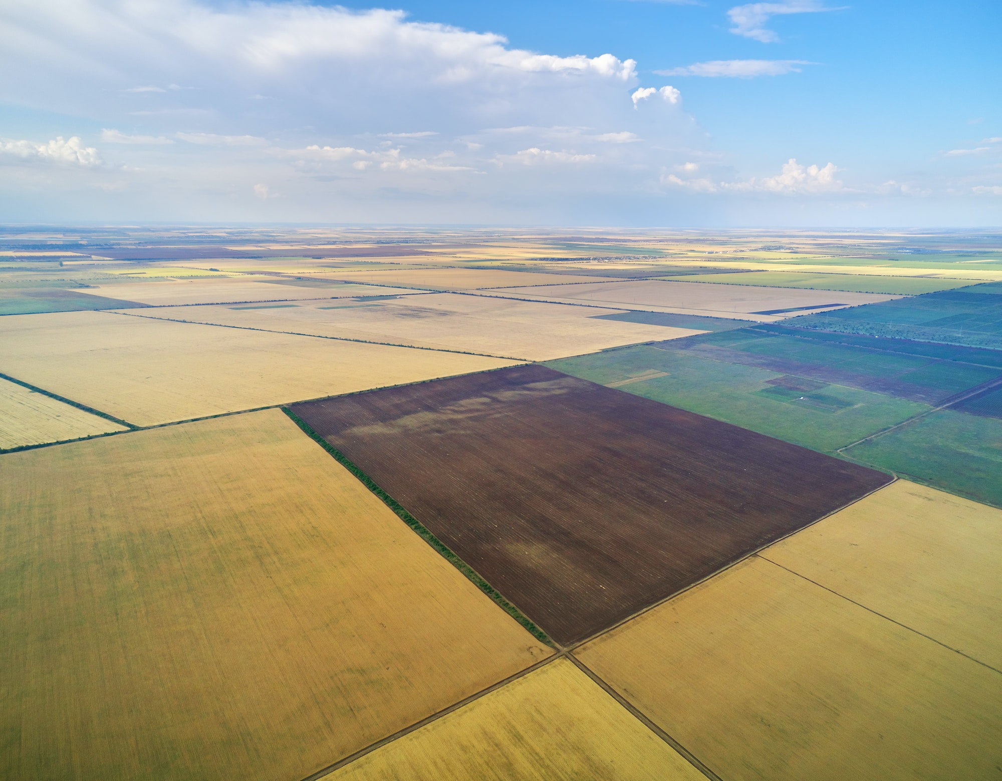 CamoAg: Farmland Management Solutions - view 2