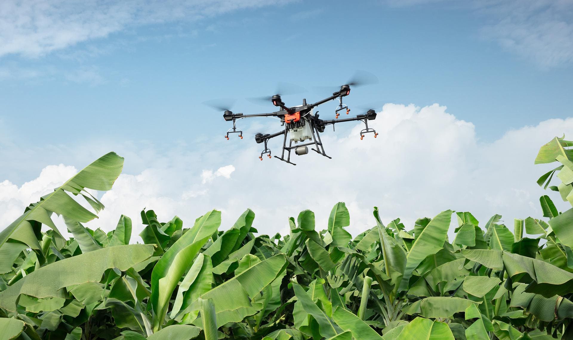 Flying Tractor Agodron: Precision Agriculture Drone - view 3
