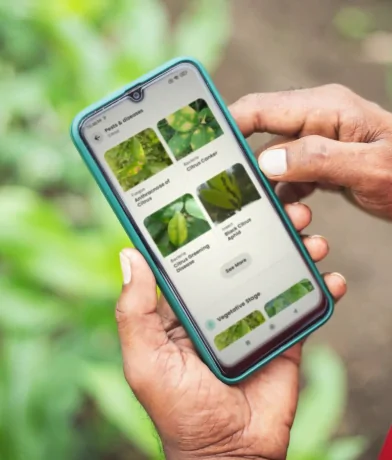 Plantix: AI Crop Diagnosis Tool - view 2