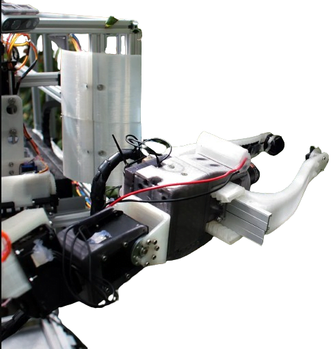 Berry Bot: AI Raspberry Harvester