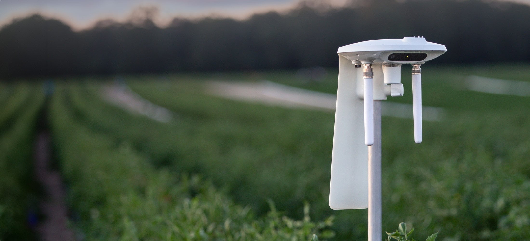 Arable Mark 3: Advanced Crop Monitoring - view 2
