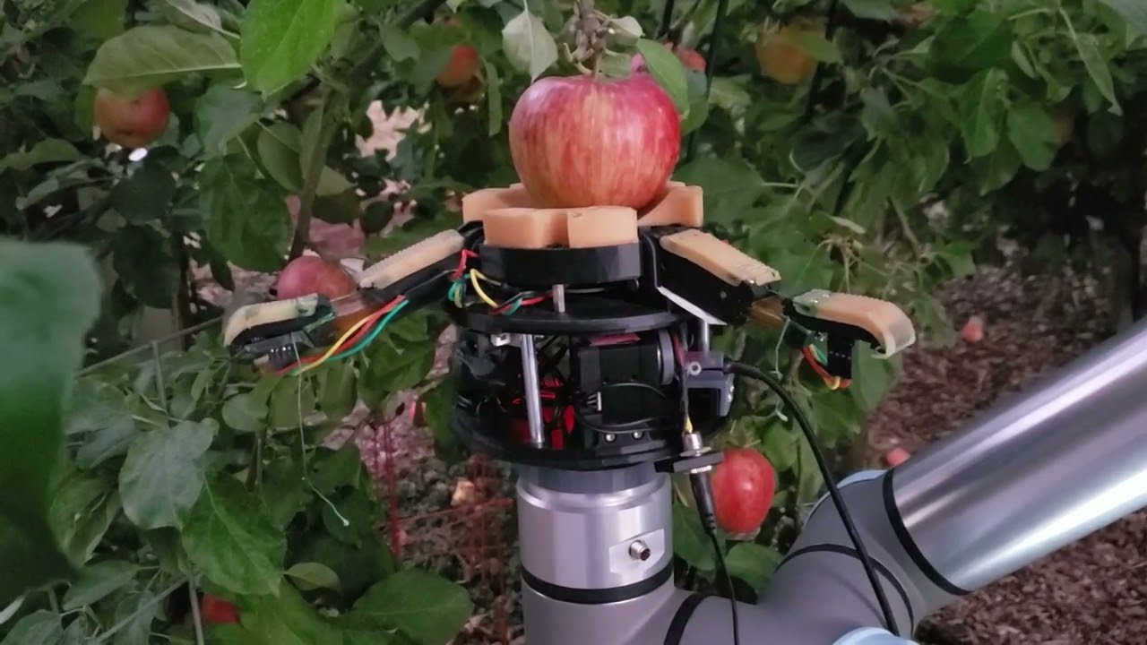 Apple Harvest Robot: Automated Picking Solution - view 2