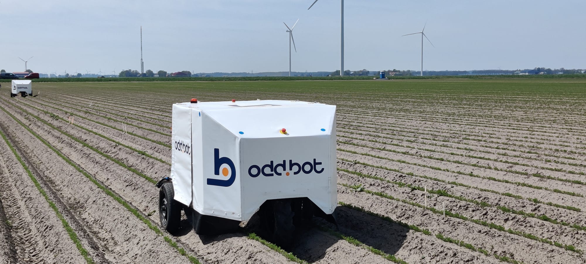 OddBot Maverick: Autonomous Weeding Robot - view 2