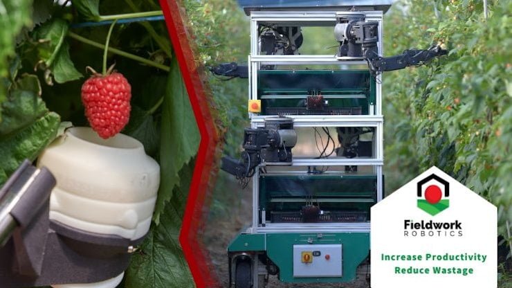 Berry Bot: AI Raspberry Harvester - view 3