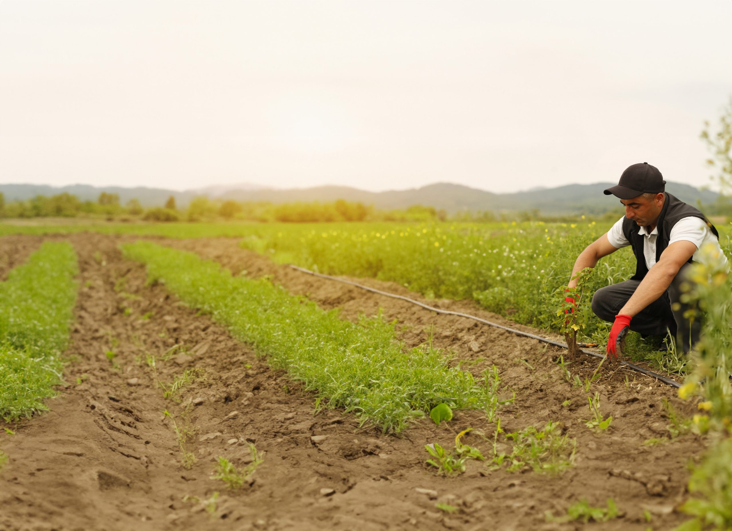 Agronnect: Agri-Professional Networking Platform - view 3