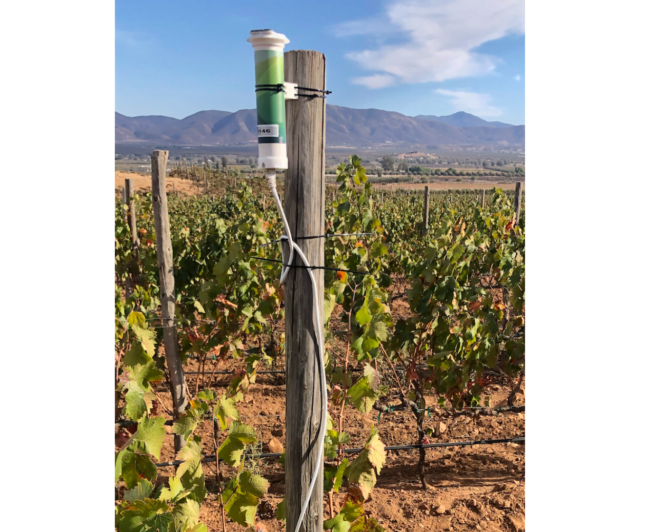 Grape.ag: Precision Viticulture Platform - view 4