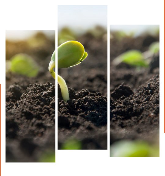 Inari Agriculture: Seed Innovation Pioneer - view 3