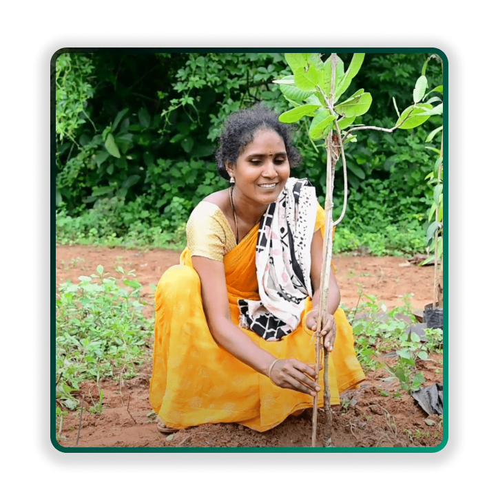 Varah: Climate-Friendly Farming Solutions - view 2