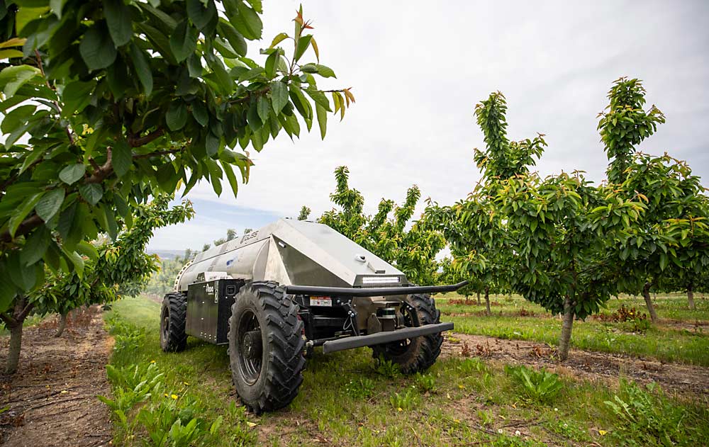 Mini GUSS: Autonomous Orchard Sprayer - view 2