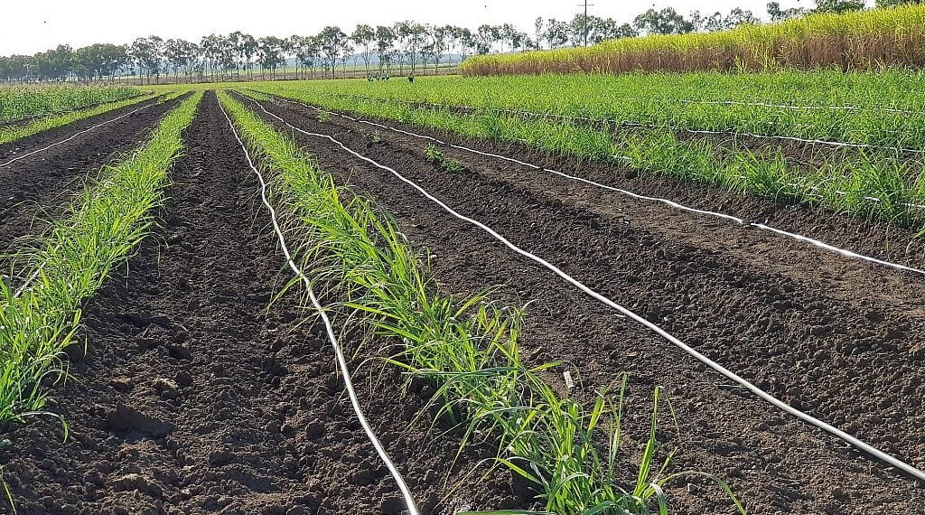 N-Drip Irrigation System: Gravity-Fed Efficiency - view 2