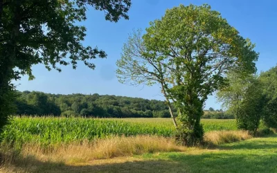 Carbone Farmers: Agricultural Carbon Management - view 2