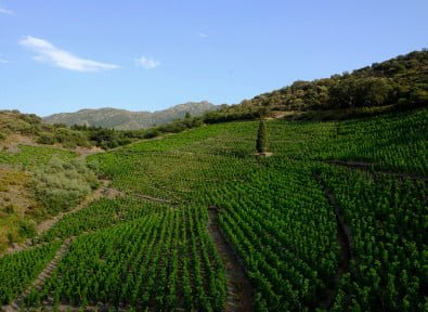 Les Grappes: Farmers' Cooperative Platform - view 2