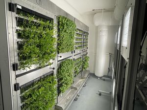 Farm3: Aeroponic Plant Production System - view 2