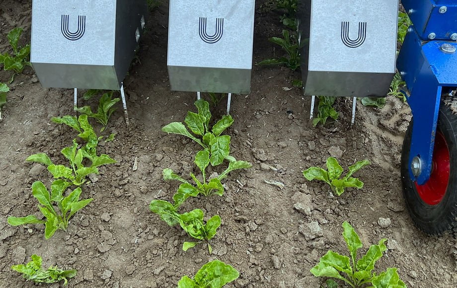 Ullmanna Newman: AI-Driven Weeding System - view 3