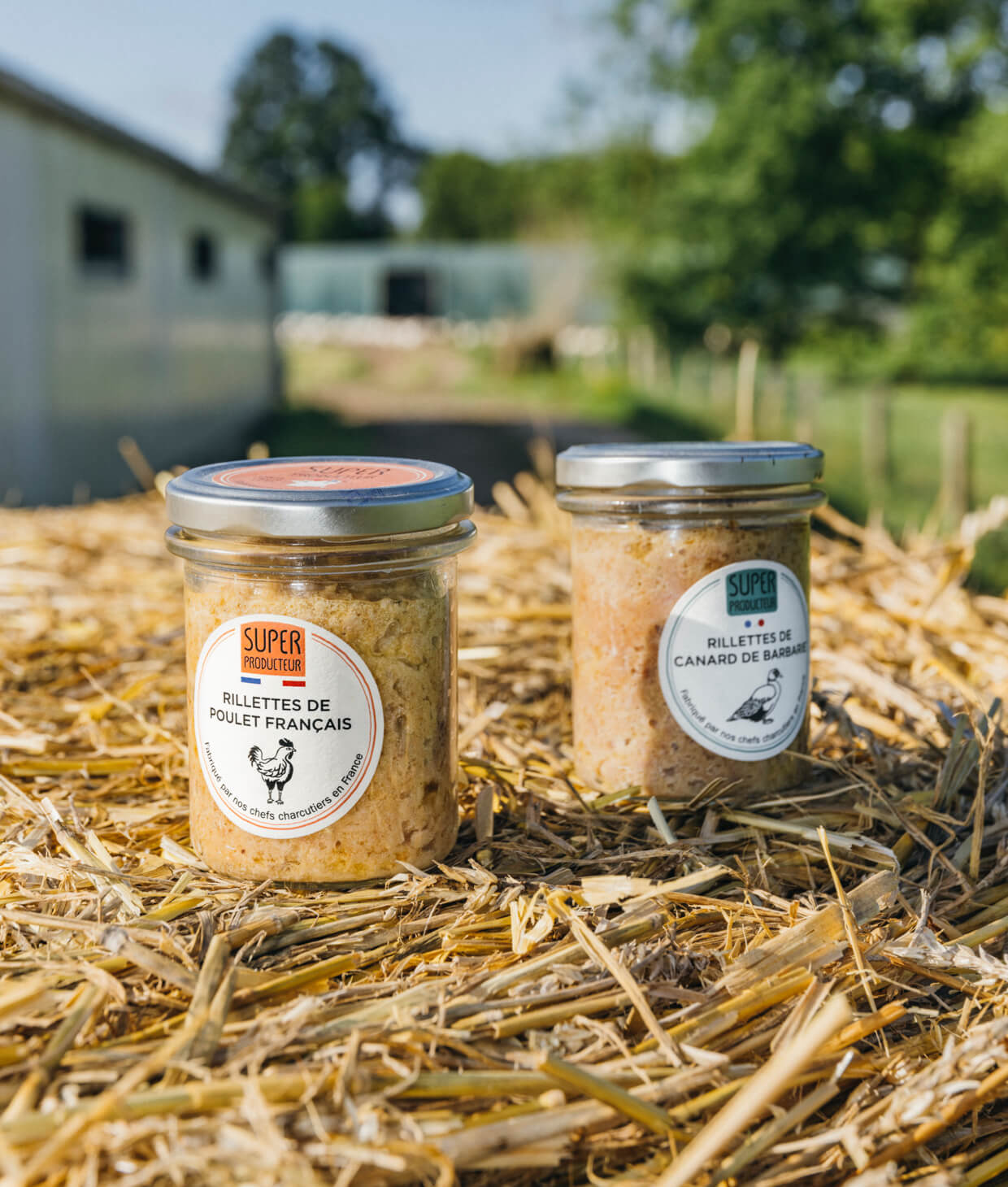 Superproducteur: Agricultural Marketplace - view 2