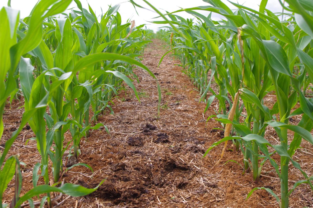 SoilCapital: Carbon Farming Solutions - view 3