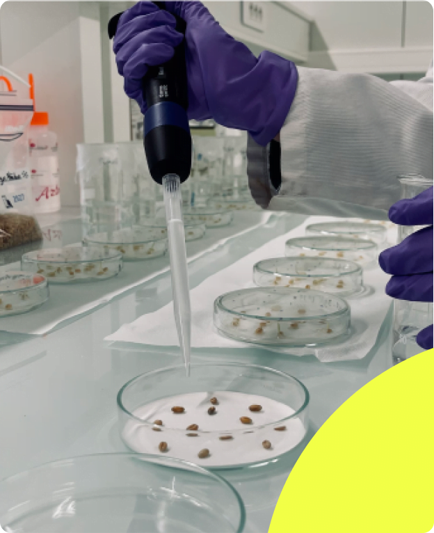 Axioma Biologicals: Plant-Based Biosolutions - view 3