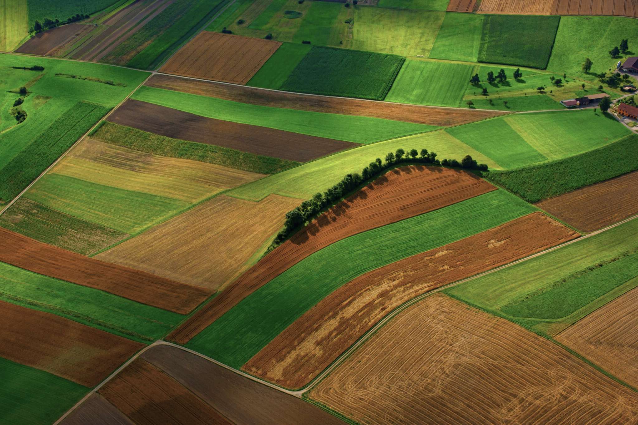SoilCapital: Carbon Farming Solutions - view 4