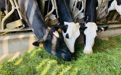 Carbone Farmers: Agricultural Carbon Management - view 4