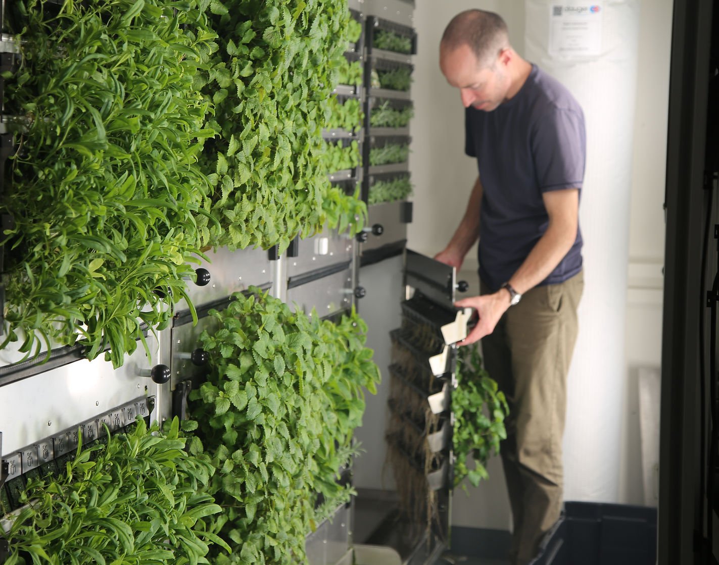 Farm3: Aeroponic Plant Production System - view 4