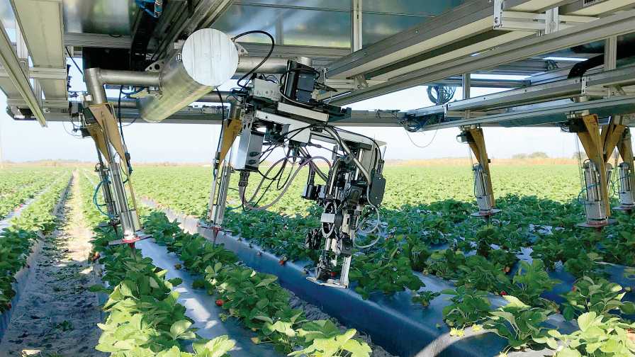 Shivaa Strawberry Harvester: Precision Robotics for Agriculture - view 2