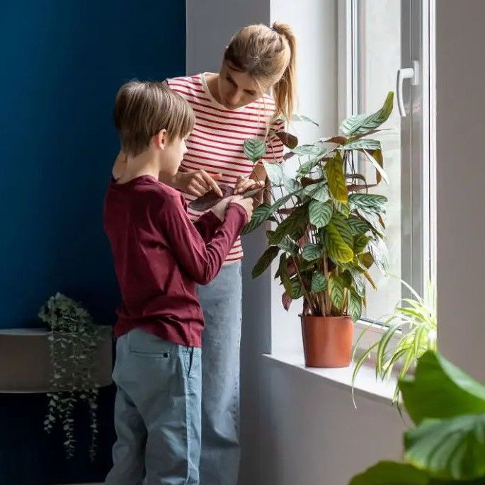 FYTA Beam: Smart Plant Health Tracker - view 2