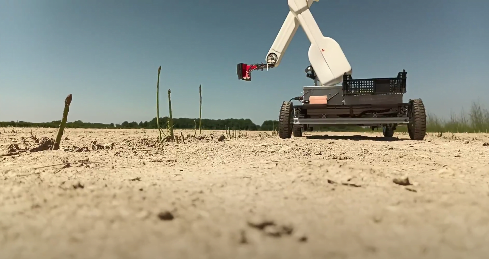 Autopickr Gus: Automated Asparagus Harvester - view 3
