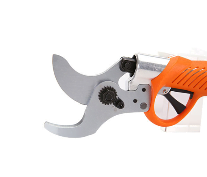 Robotic Perception: AI Autonomous Pruner - view 2