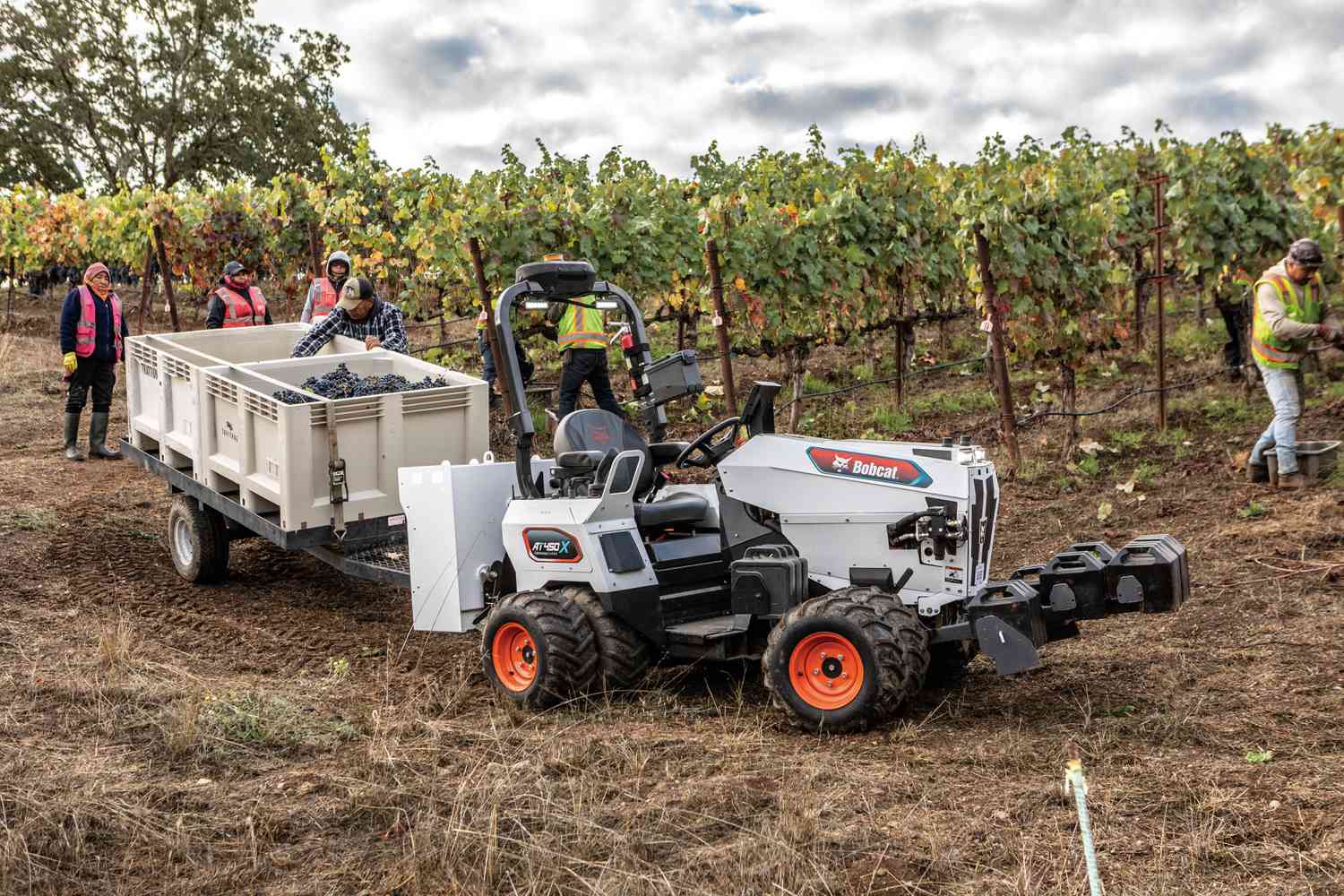 Bobcat AT450X: Autonomous Farm Tractor - view 3
