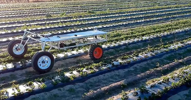 Eden TRIC Robotics: UV Pest Control System - view 2
