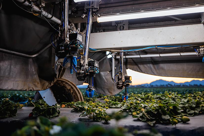 Shivaa Strawberry Harvester: Precision Robotics for Agriculture - view 3