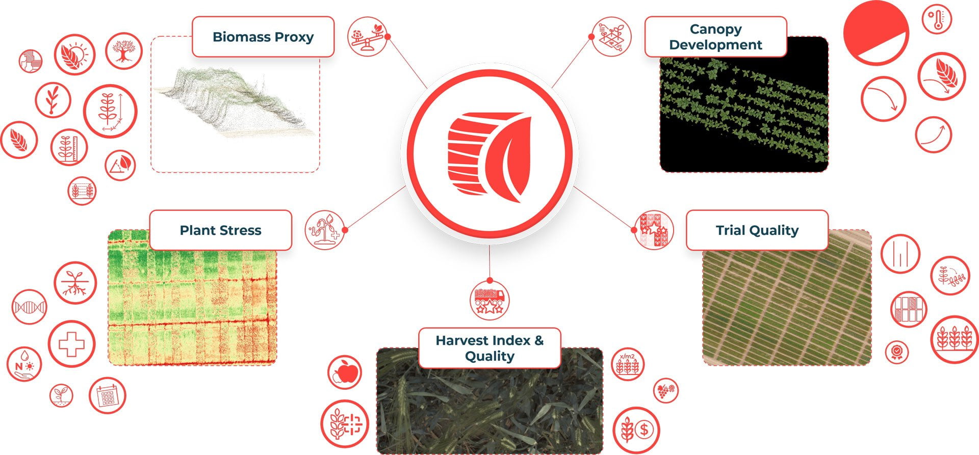Hiphen Application Suite: Comprehensive Plant Phenotyping - view 2