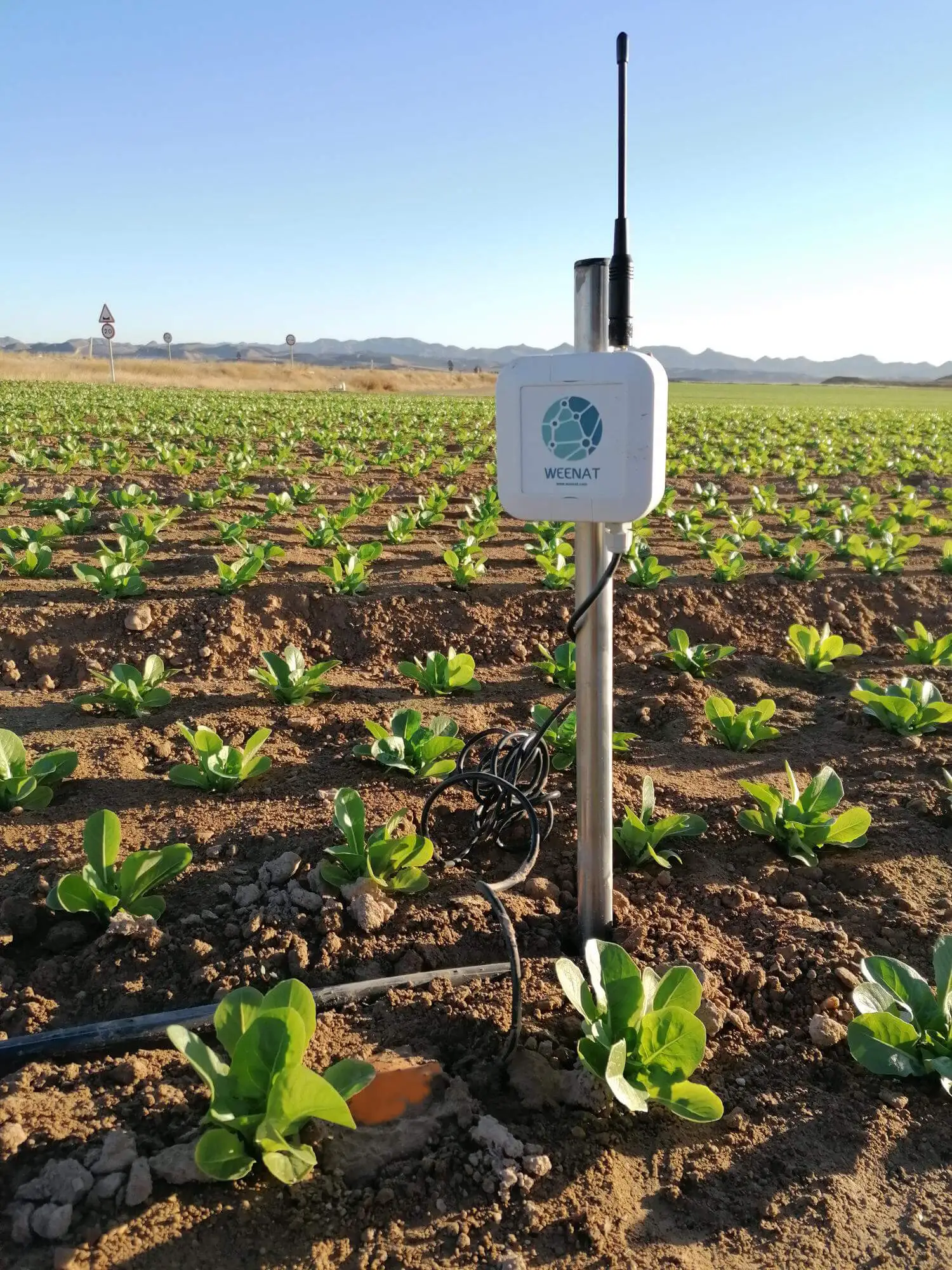 Weenat: Precision Agriculture Sensors - view 2