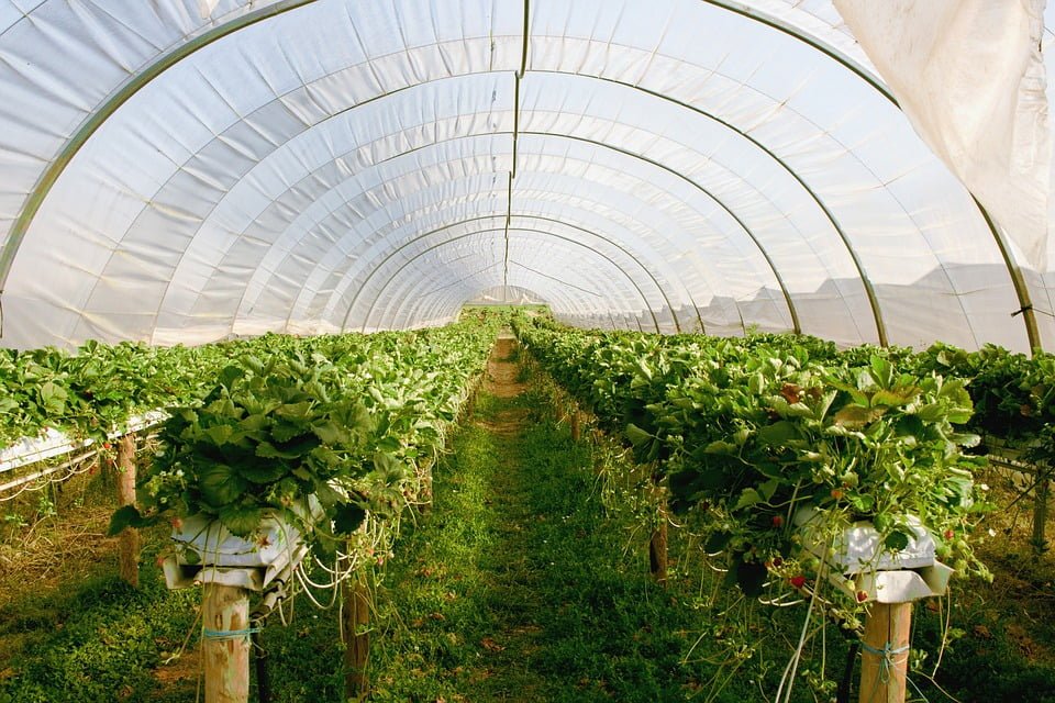 Terramera: Plant-Based Pest Control Solutions - view 3