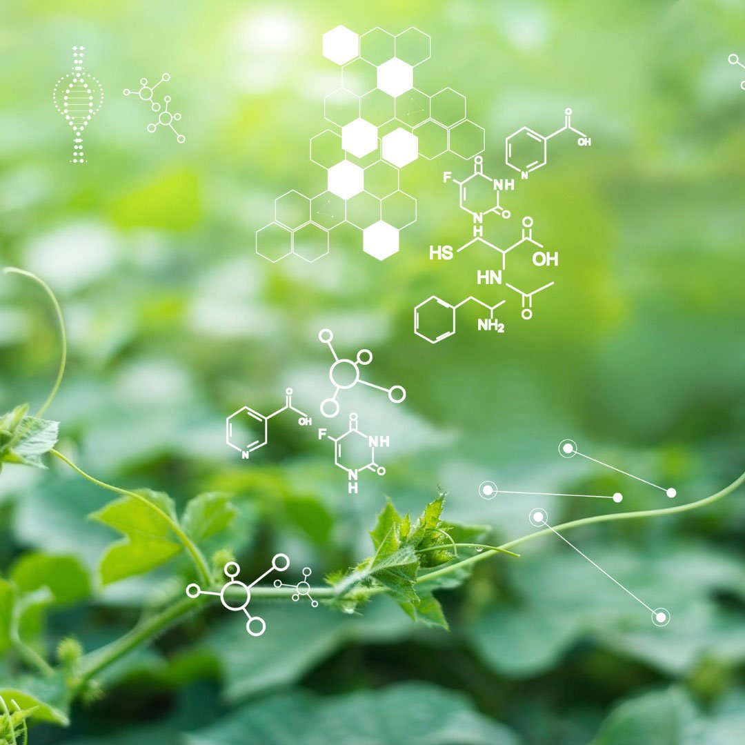 Terramera: Plant-Based Pest Control Solutions - view 2