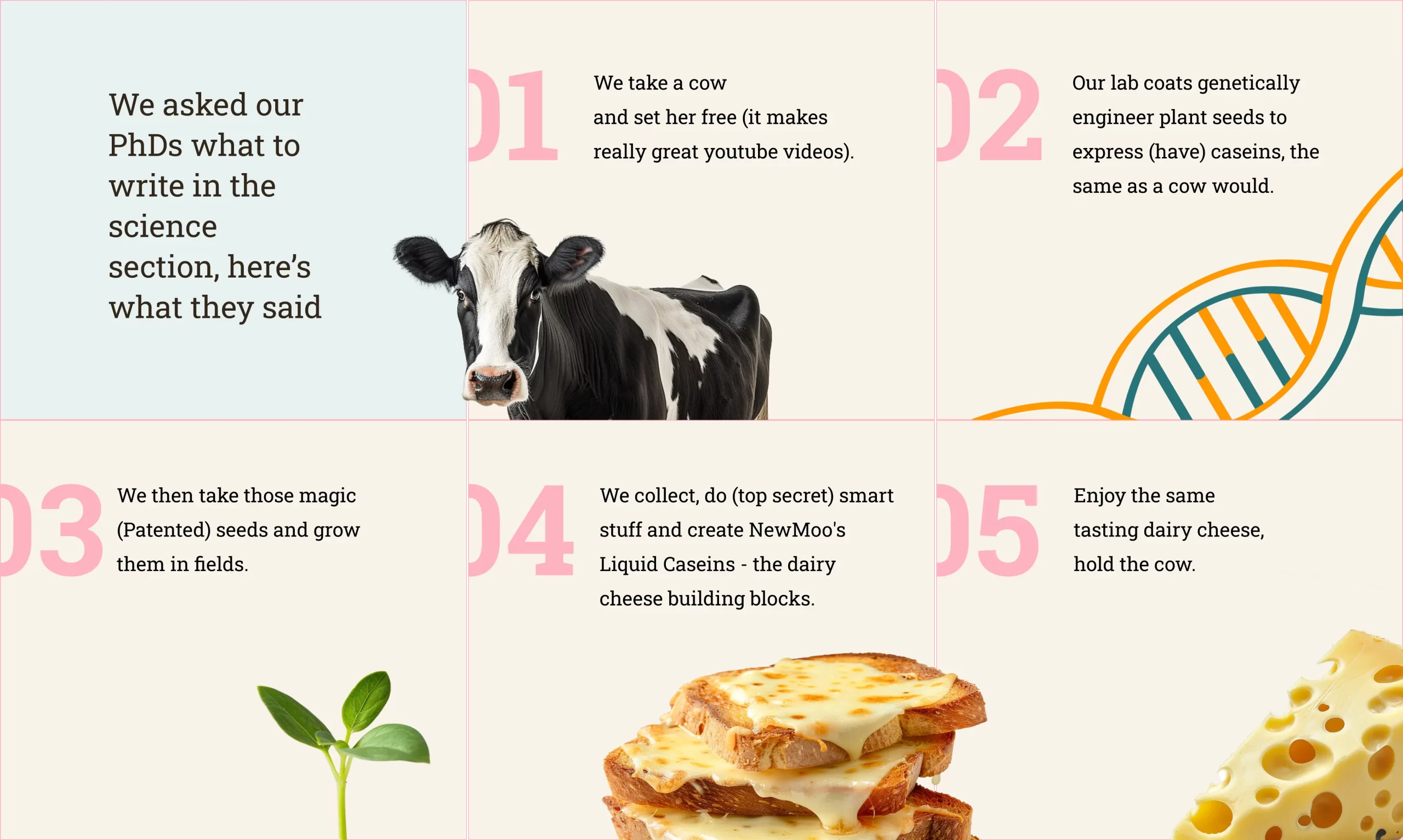 NewMoo: Plant-Based Casein for Cheese - view 2