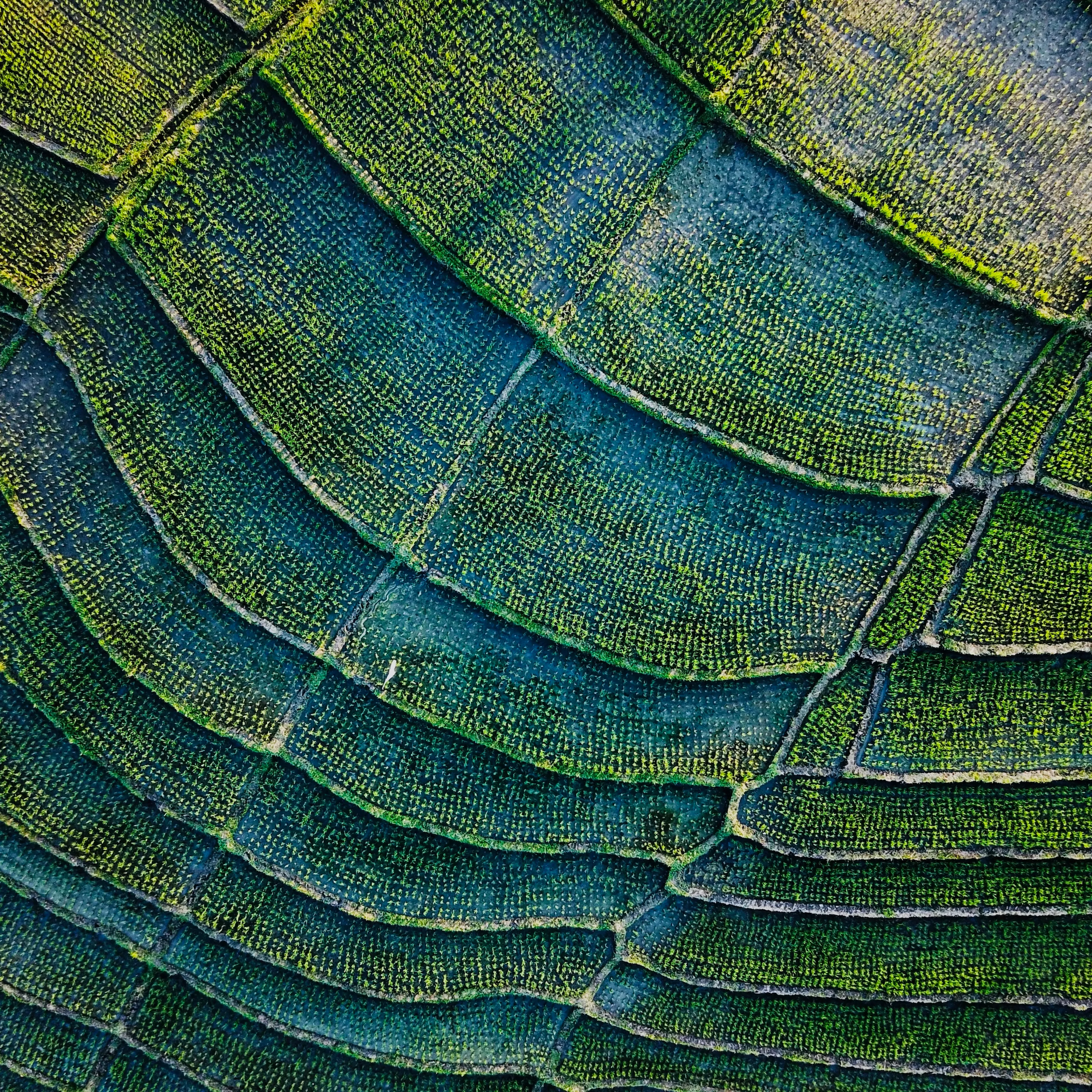 Agreena: Regenerative Farming Solutions - view 2