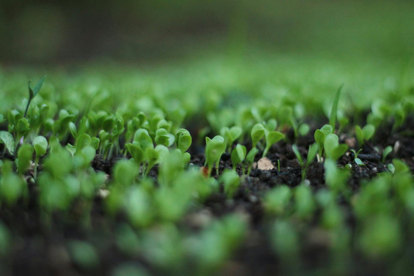 PlantSustain: Microbial Solutions Platform - view 2