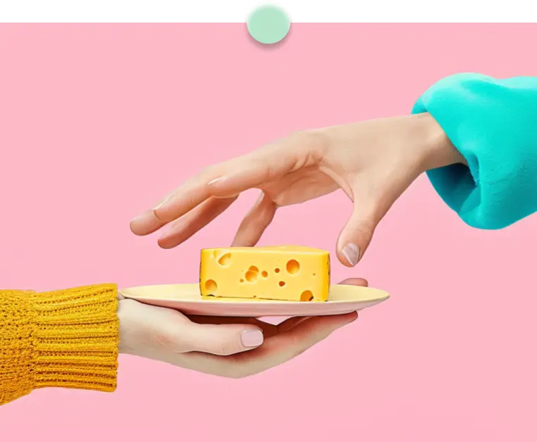 NewMoo: Plant-Based Casein for Cheese - view 3